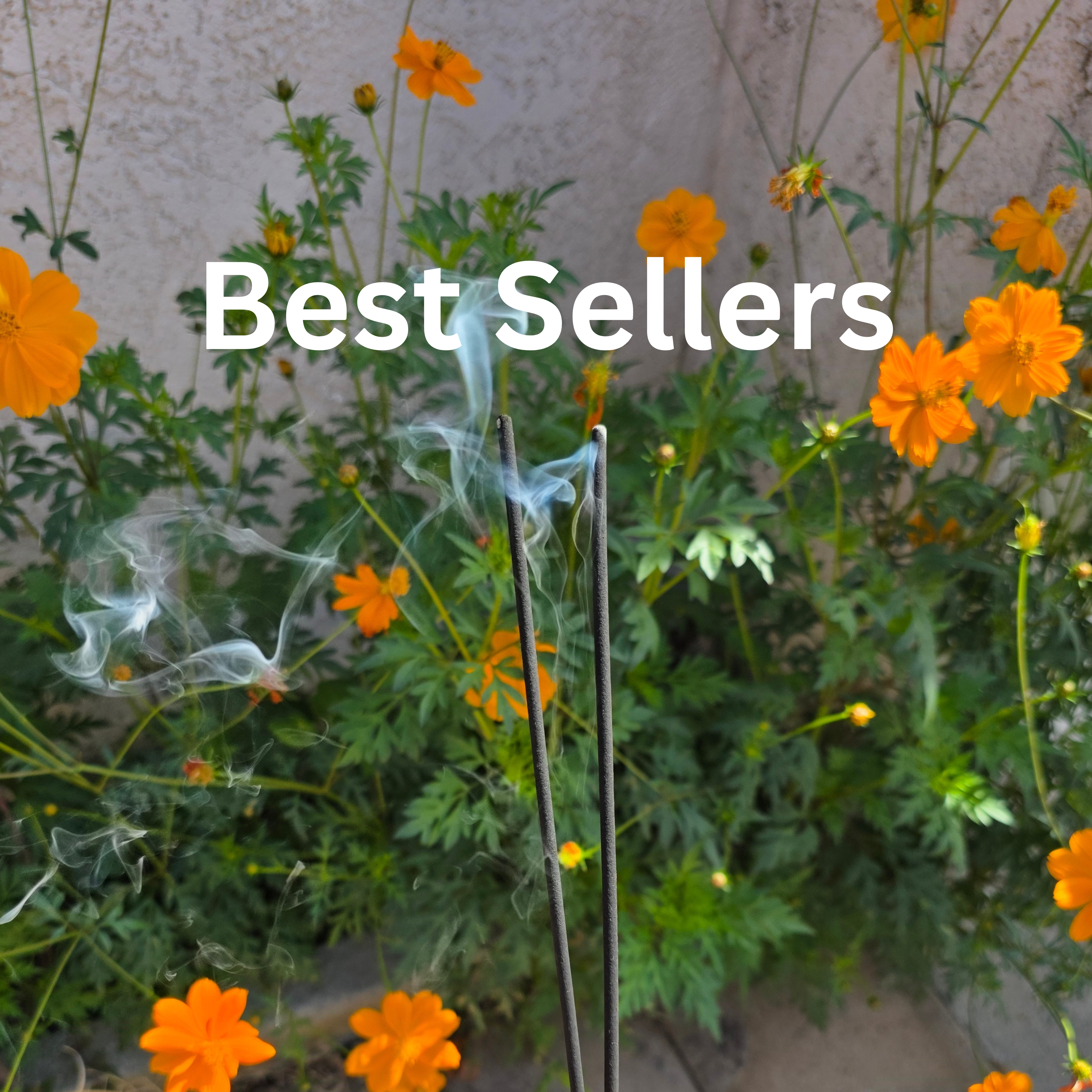 Best Sellers