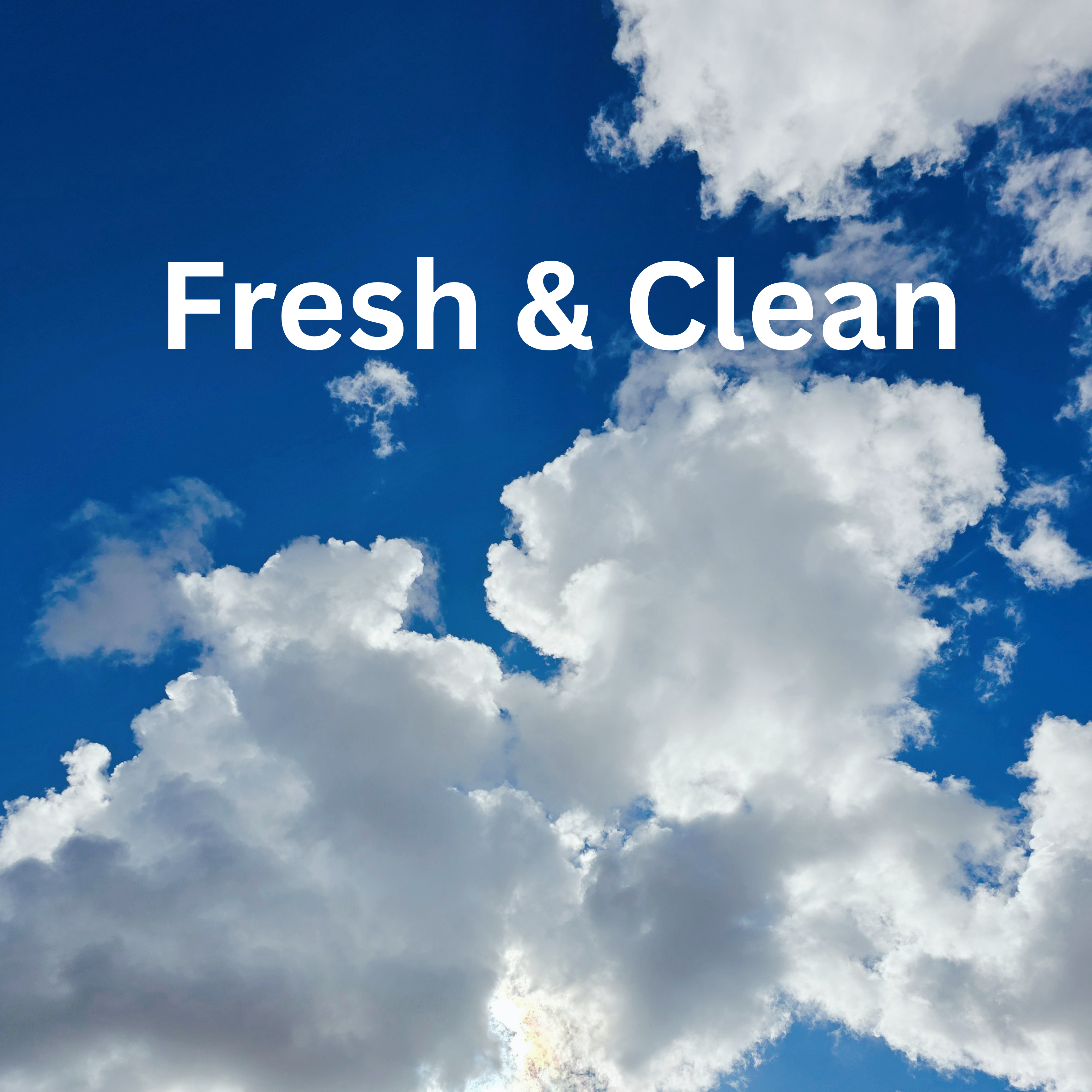 Fresh and Clean