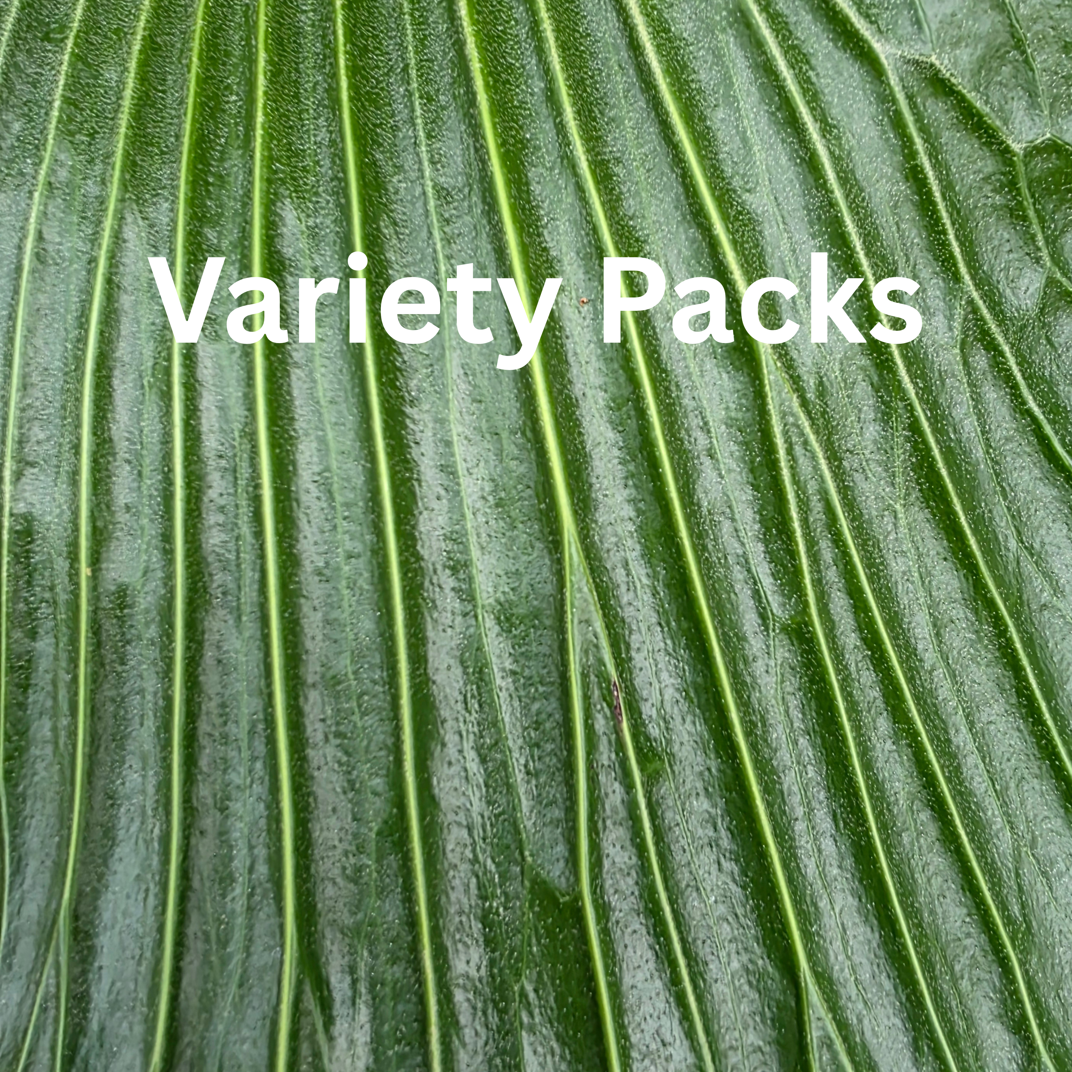 Incense Stick Variety Packs