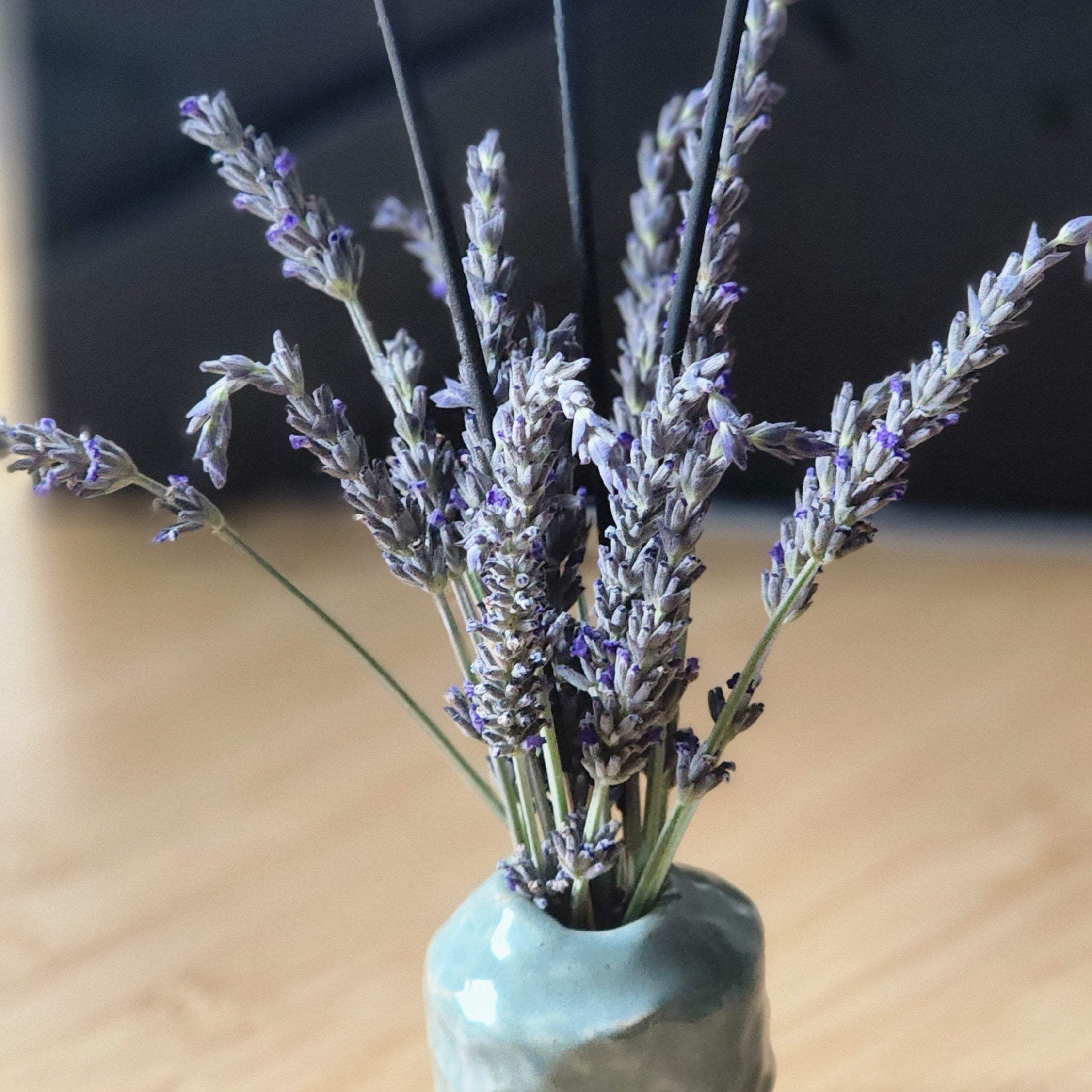 Lavender Clear Skye Sticks | Hand Dipped Incense Sticks